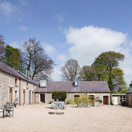 June Blake'S Garden Blessington Exteriör bild