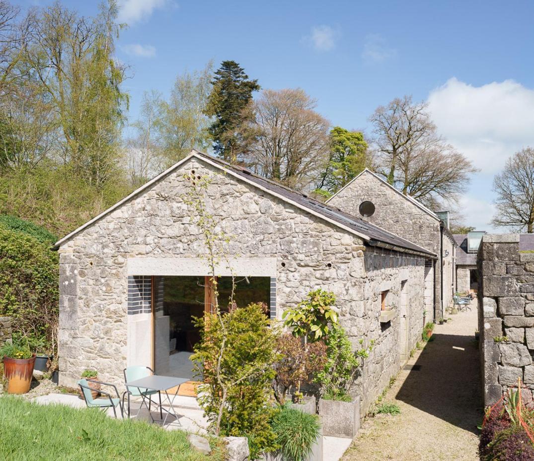 June Blake'S Garden Blessington Exteriör bild