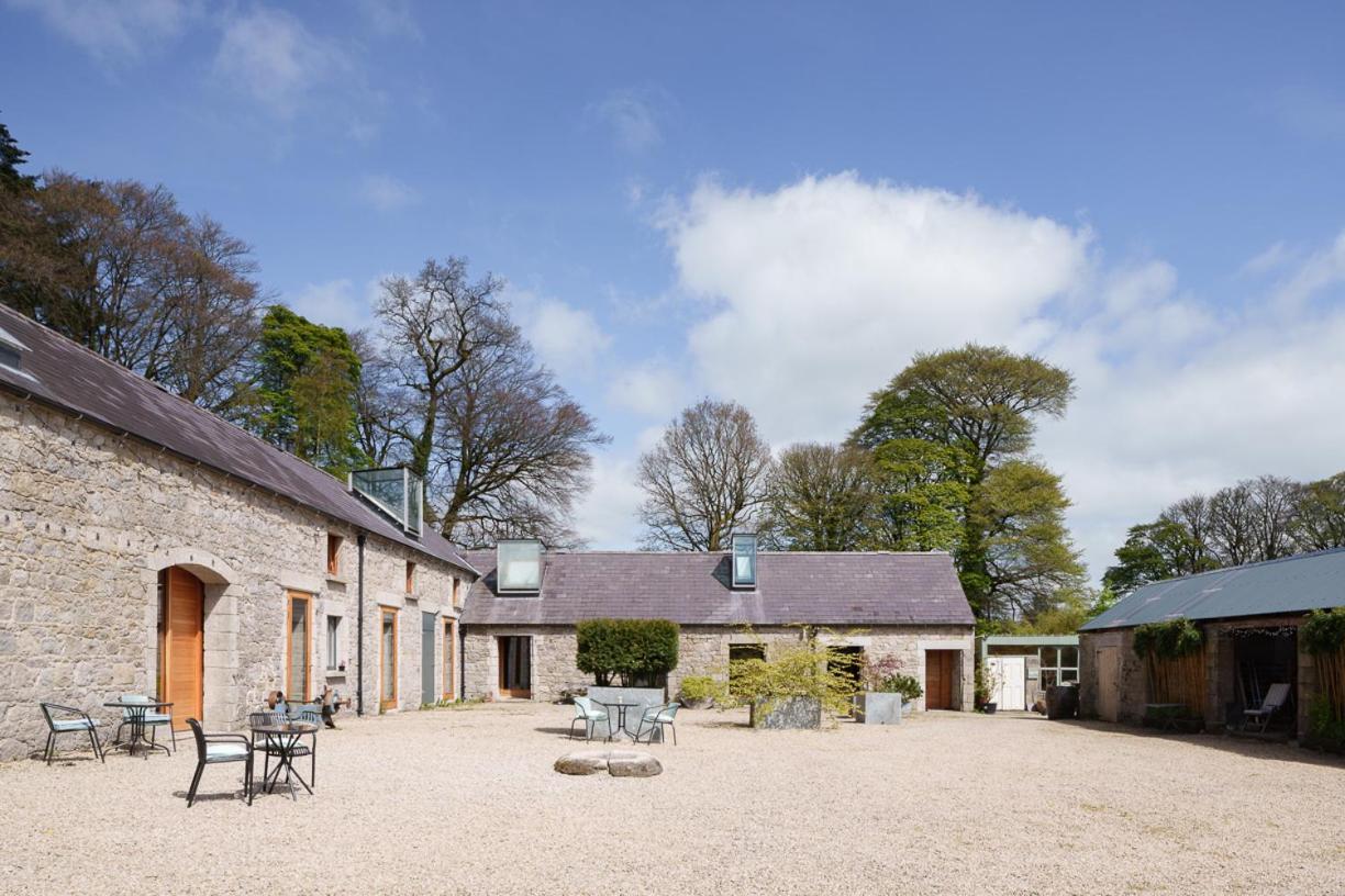 June Blake'S Garden Blessington Exteriör bild