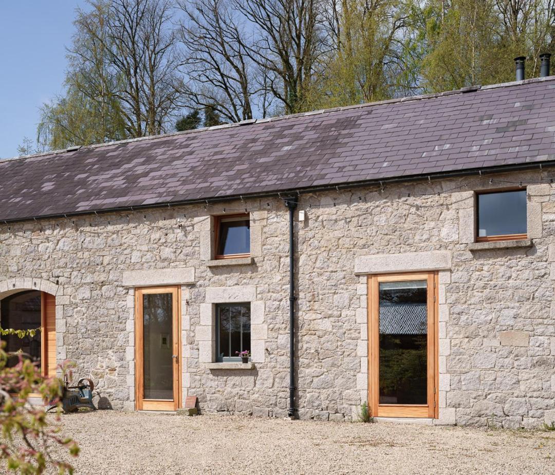 June Blake'S Garden Blessington Exteriör bild