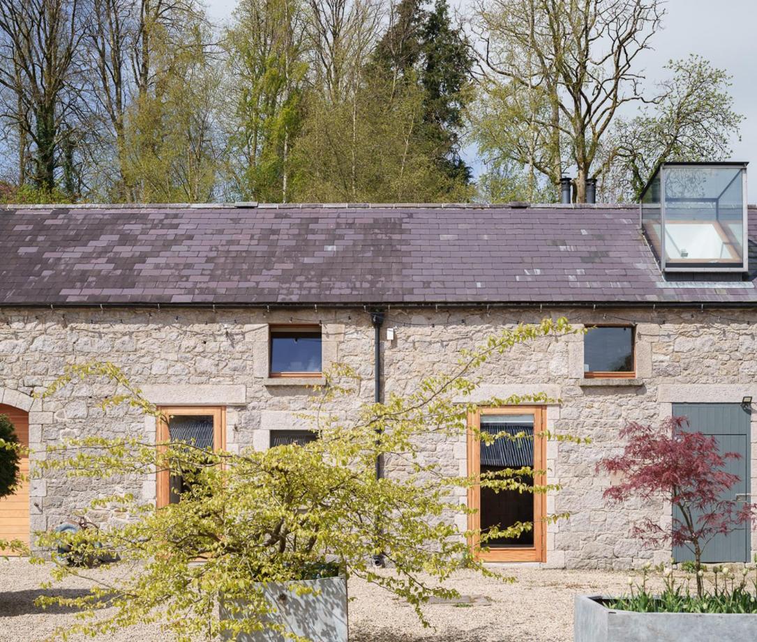 June Blake'S Garden Blessington Exteriör bild