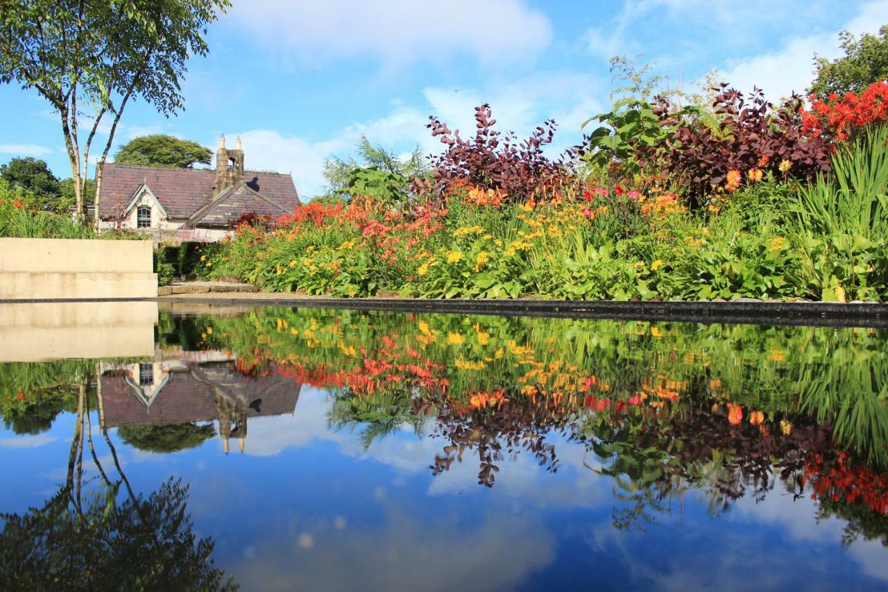 June Blake'S Garden Blessington Exteriör bild