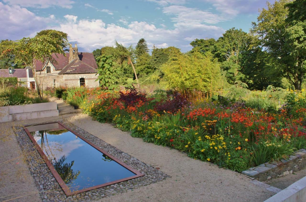 June Blake'S Garden Blessington Exteriör bild