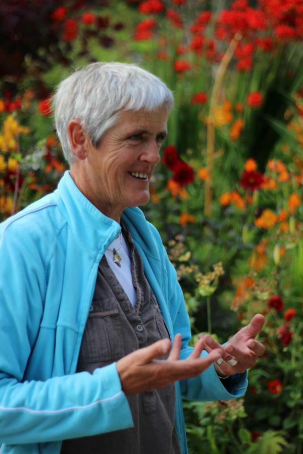 June Blake'S Garden Blessington Exteriör bild